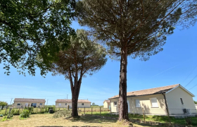 ABATTAGE DE DEUX GRANDS PINS À SARAN (45770)
